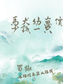 马犬幼崽价格多少钱一只