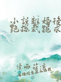 小说离婚后,冷艳总裁跪求复婚完整版