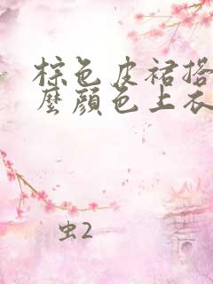 棕色皮裙搭配什么颜色上衣好看