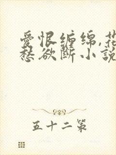 爱恨缠绵,花心愁欲断小说