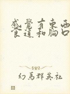 感觉有东西堵在食道和胸口