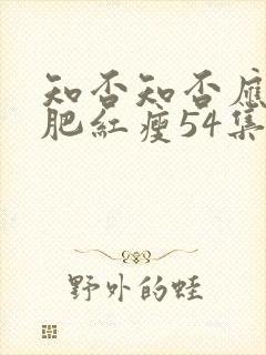 知否知否应是绿肥红瘦54集