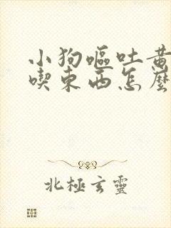 小狗呕吐黄水不吃东西怎么办