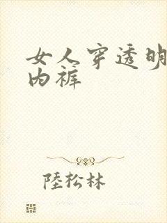 女人穿透明内衣内裤