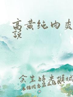 高黄纯肉爽文小说