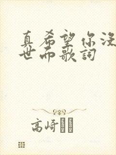 真希望你没见过世面歌词