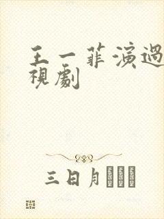 王一菲演过的电视剧