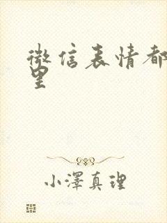 微信表情都在哪里