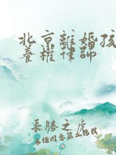 北京离婚孩子抚养权律师