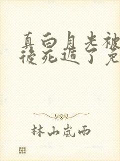 真白月光被替身后死遁了免费下载txt