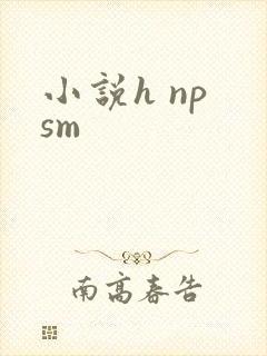 小说h np sm