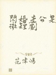 闪婚老公是总裁微短剧