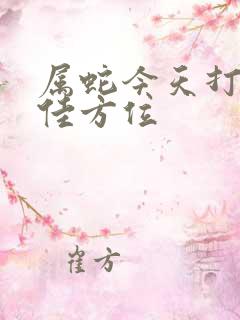 属蛇今天打牌最佳方位