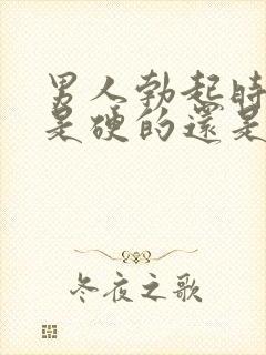 男人勃起时龟头是硬的还是软的