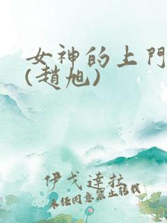 女神的上门贵婿(赵旭)