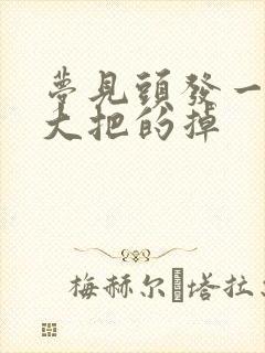 梦见头发一抓一大把的掉