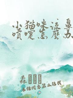 小猫咪流鼻涕打喷嚏怎么办