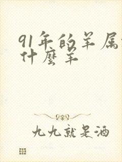 91年的羊属于什么羊