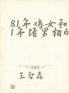 81年鸡女和71年猪男相配婚姻如何