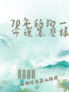 70年的狗一生命运怎么样