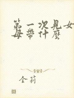 第一次见女方父母带什么