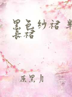 黑色纱裙 半身长裙