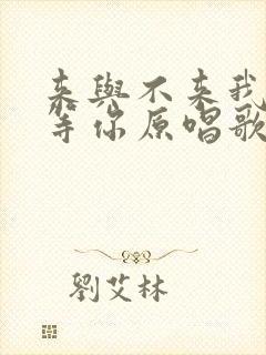 来与不来我都在等你原唱歌词