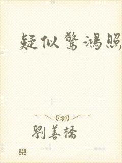 疑似惊鸿照影来