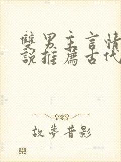 双男主言情的小说推荐古代