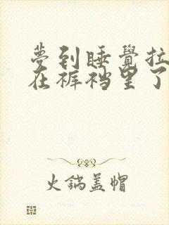 梦到睡觉拉大便在裤裆里了