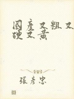 国产又粗又长又硬又黄