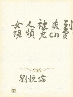 女人被爽到高潮视频免cn费95