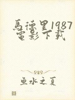 马德里1987 电影下载