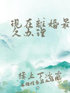 现在离婚最快多久办理