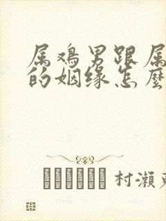 属鸡男跟属鼠女的姻缘怎么样