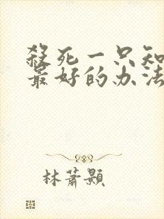 杀死一只知更鸟最好的办法