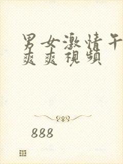 男女激情午夜爽爽爽视频