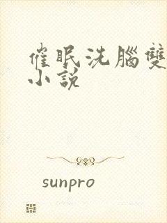 催眠洗脑双男主小说