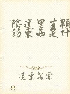 阴道里有颗粒状的东西是什么