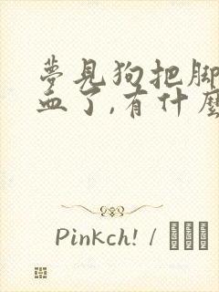 梦见狗把脚咬出血了,有什么预兆