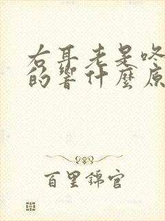 右耳老是咚咚咚的响什么原因