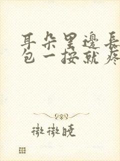 耳朵里边长了个包一按就疼