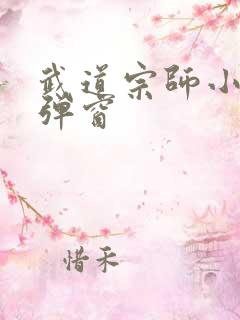 武道宗师小说无弹窗