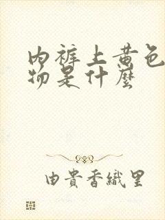 内裤上黄色分泌物是什么