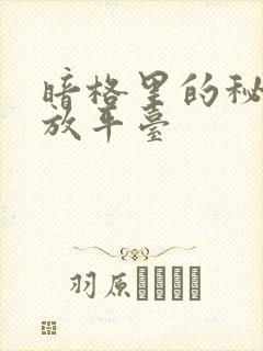 暗格里的秘密播放平台