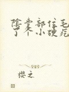 阴囊部位毛囊长了个小硬疙瘩用什么药