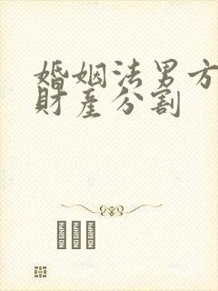 婚姻法男方出轨财产分割