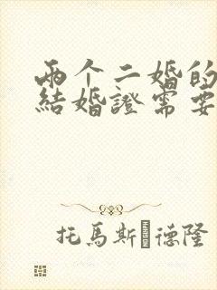 两个二婚的人领结婚证需要带什么