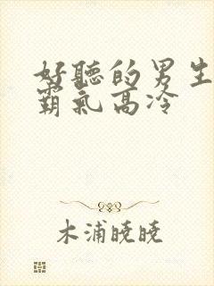 好听的男生网名霸气高冷