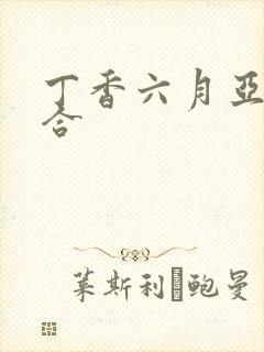 丁香六月亚洲综合